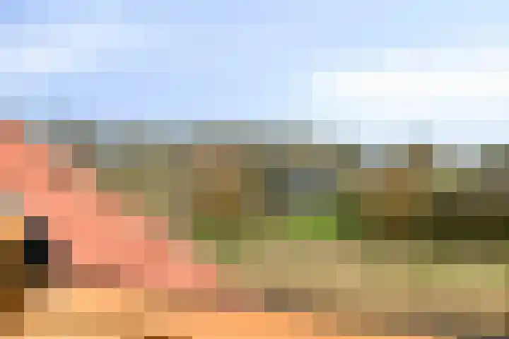 Achterweem 41 Valburg thumbnail 10