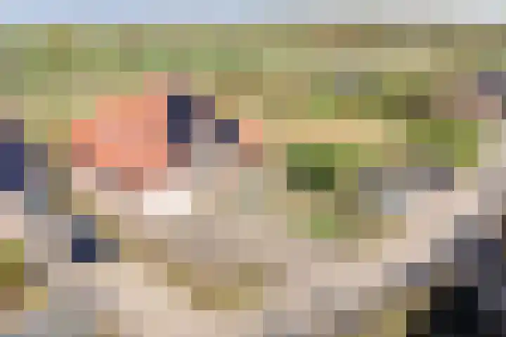 Achterweem 41 Valburg thumbnail 4
