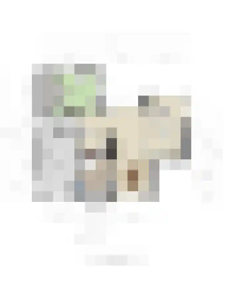 Achterweem 41 Valburg thumbnail 53