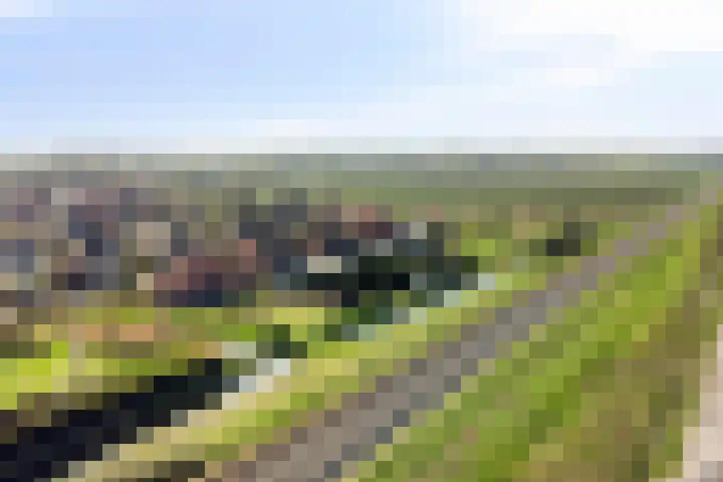 Achterweem 41 Valburg thumbnail 7