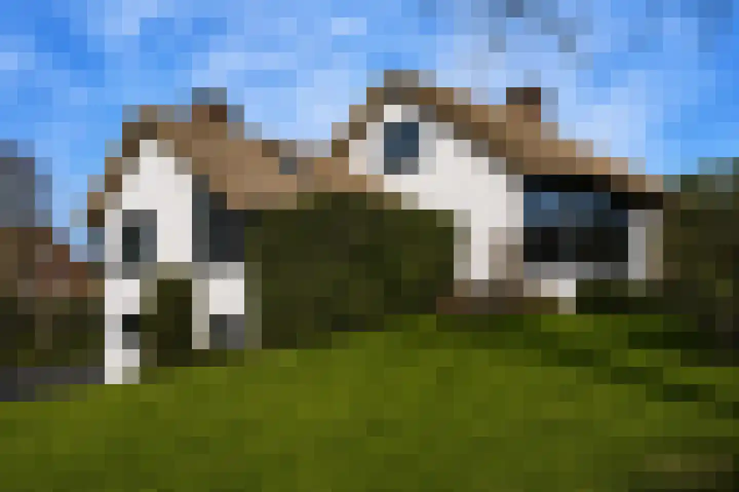 Achterweg 1 Alkmaar thumbnail 12