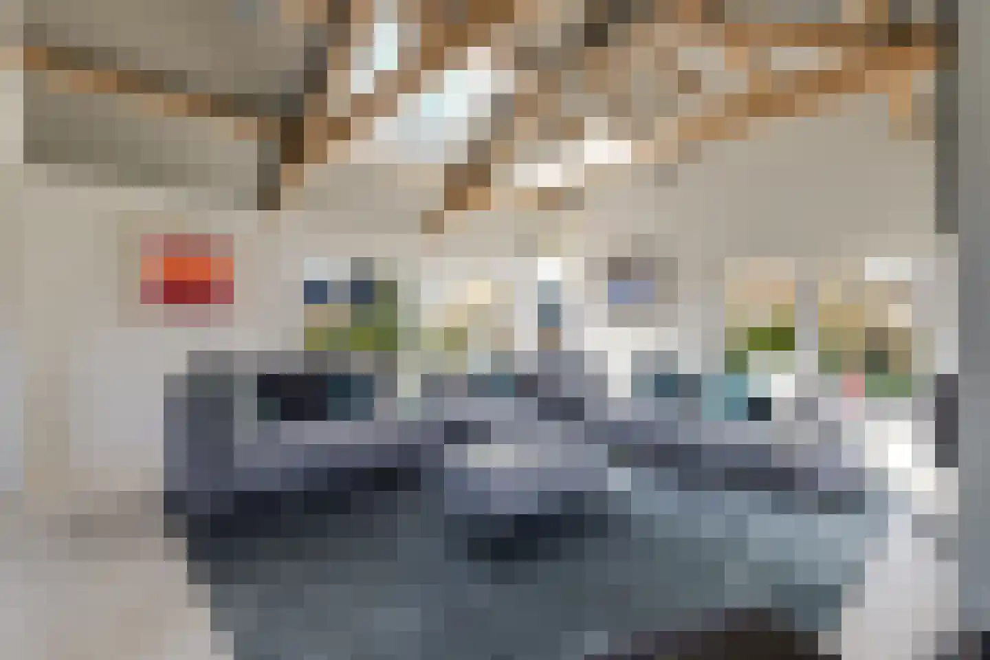 Achterweg 1 Alkmaar thumbnail 16