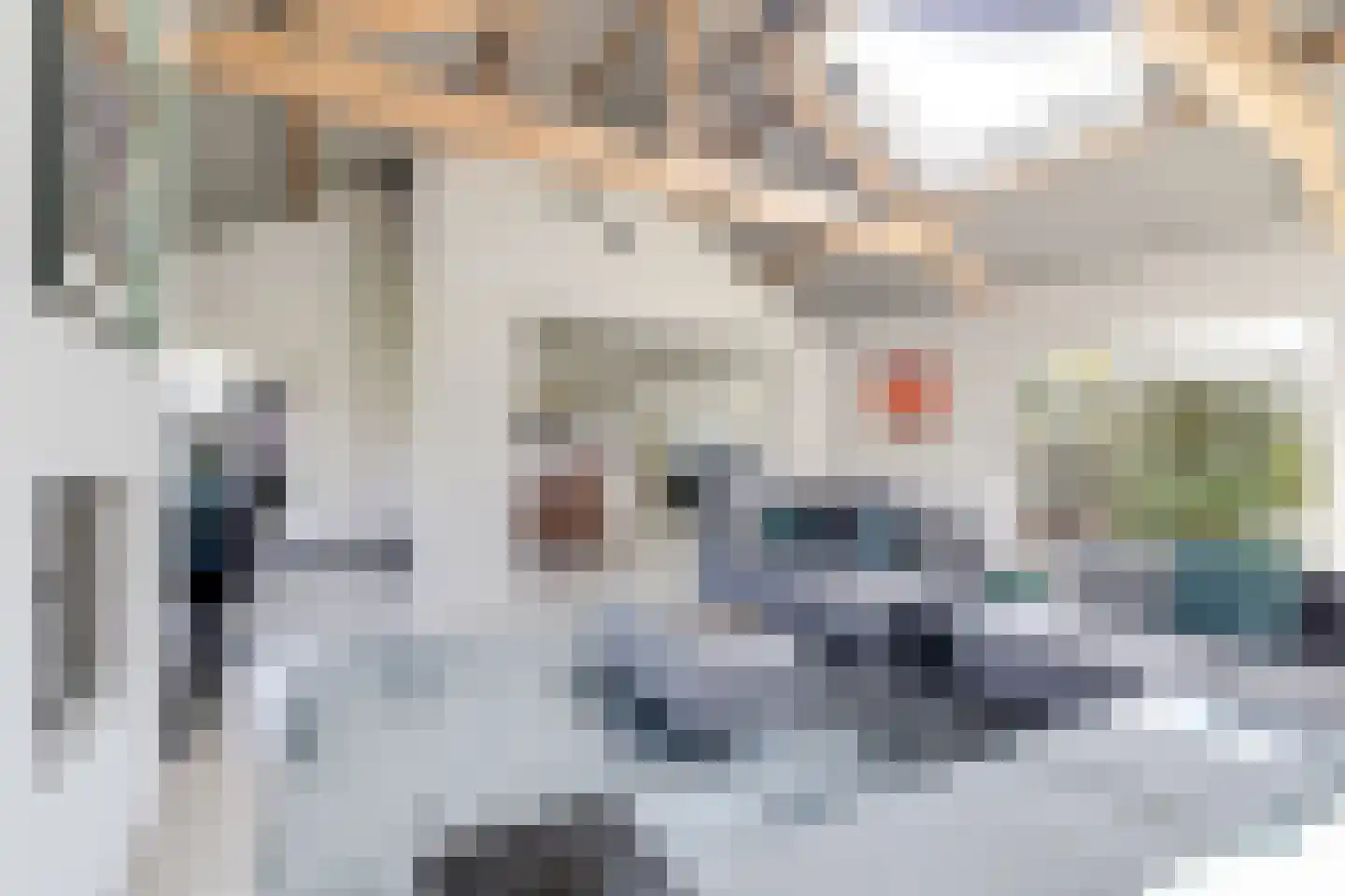 Achterweg 1 Alkmaar thumbnail 17