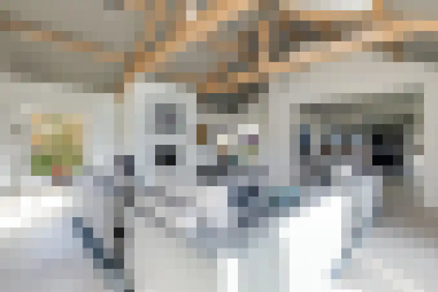 Achterweg 1 Alkmaar thumbnail 18