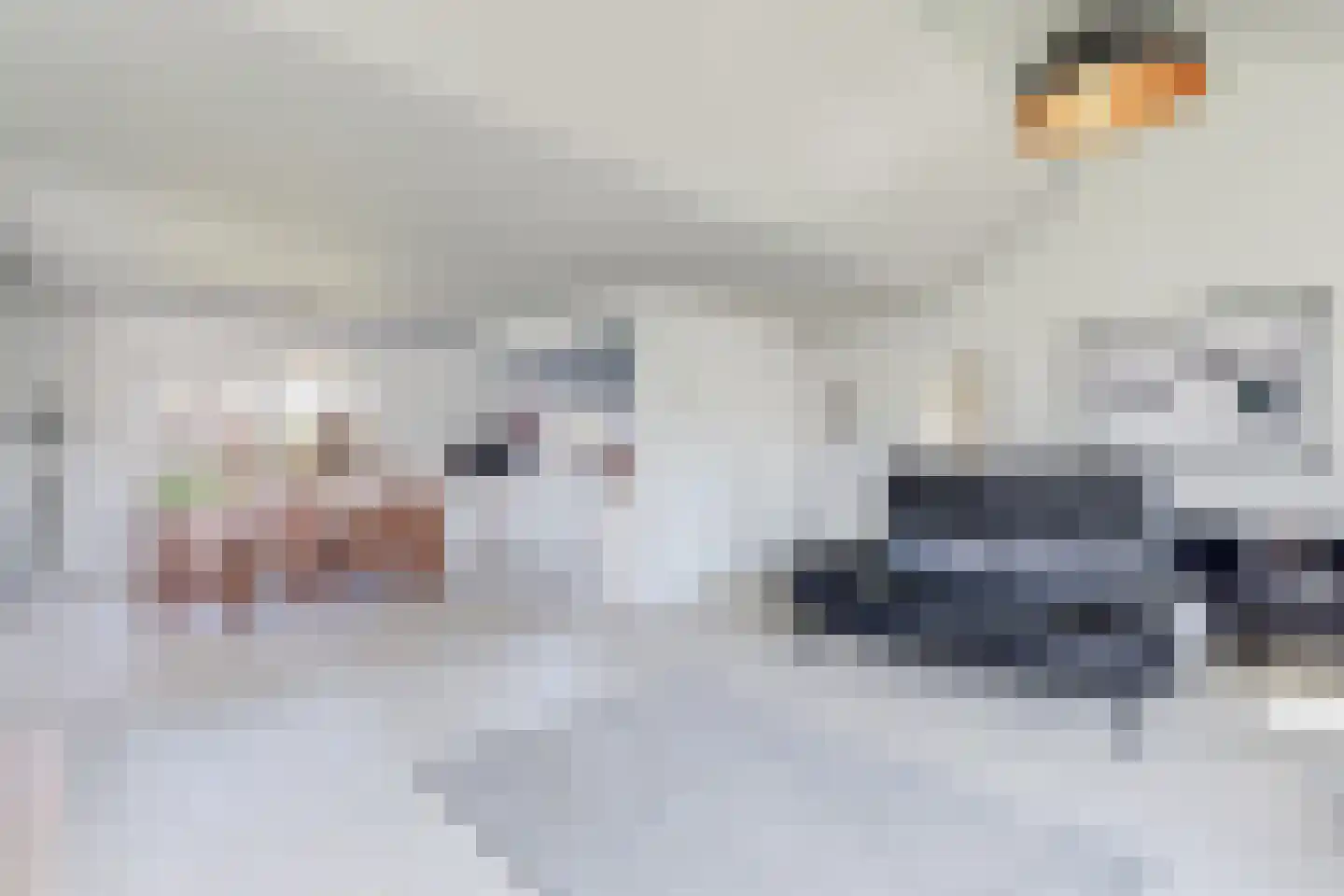 Achterweg 1 Alkmaar thumbnail 25