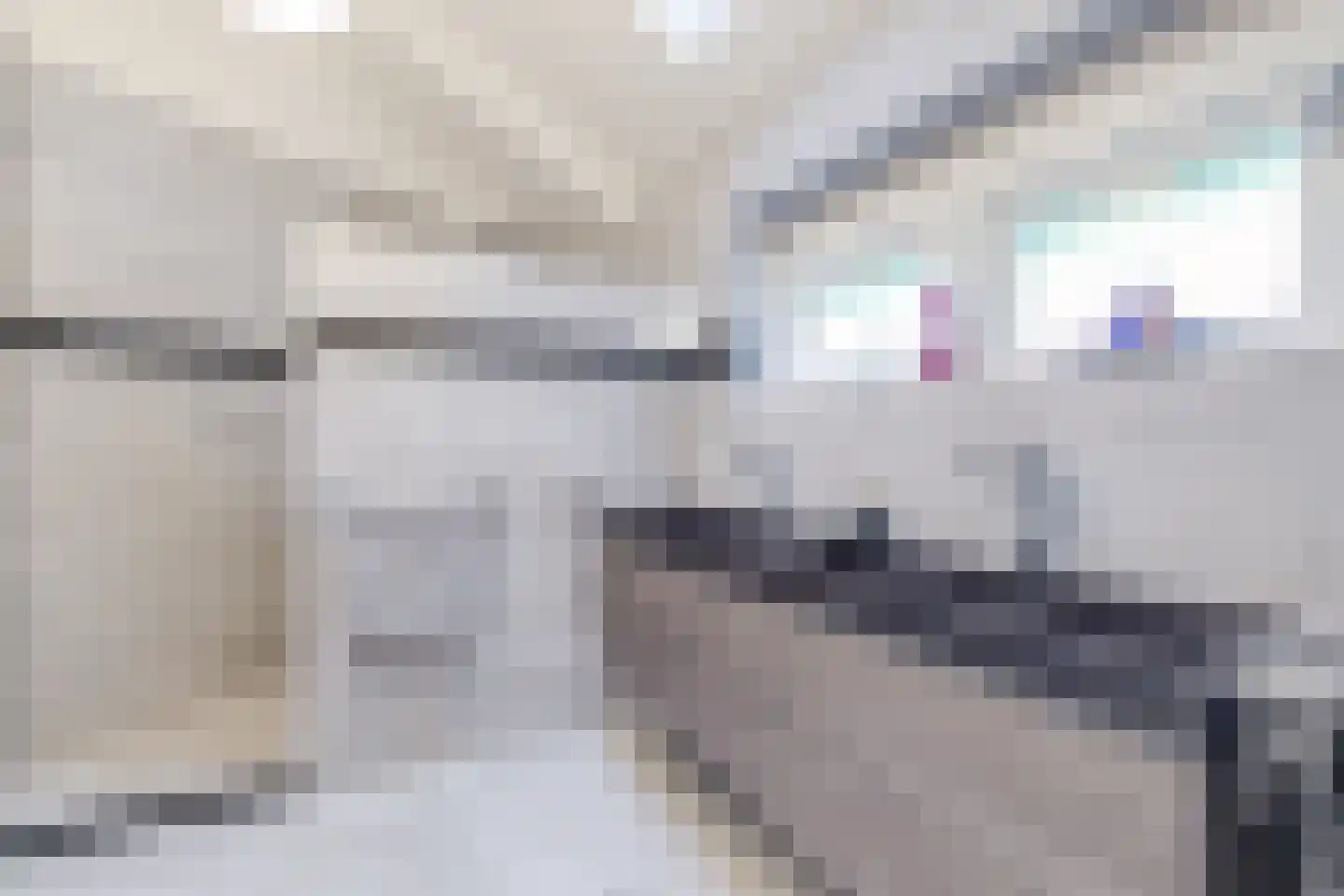 Achterweg 1 Alkmaar thumbnail 36