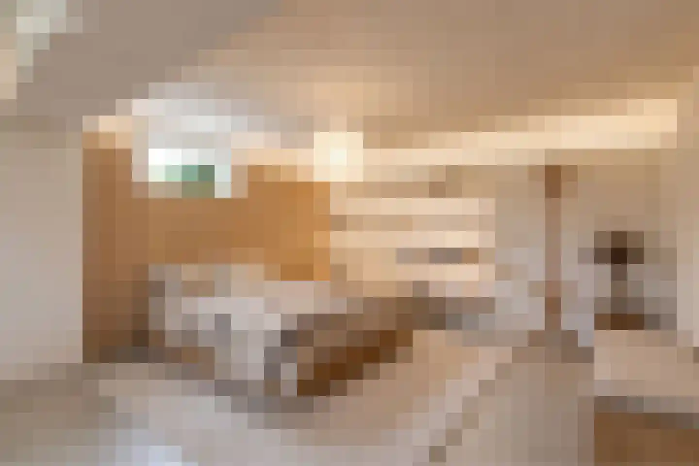 Achterweg 1 Alkmaar thumbnail 4