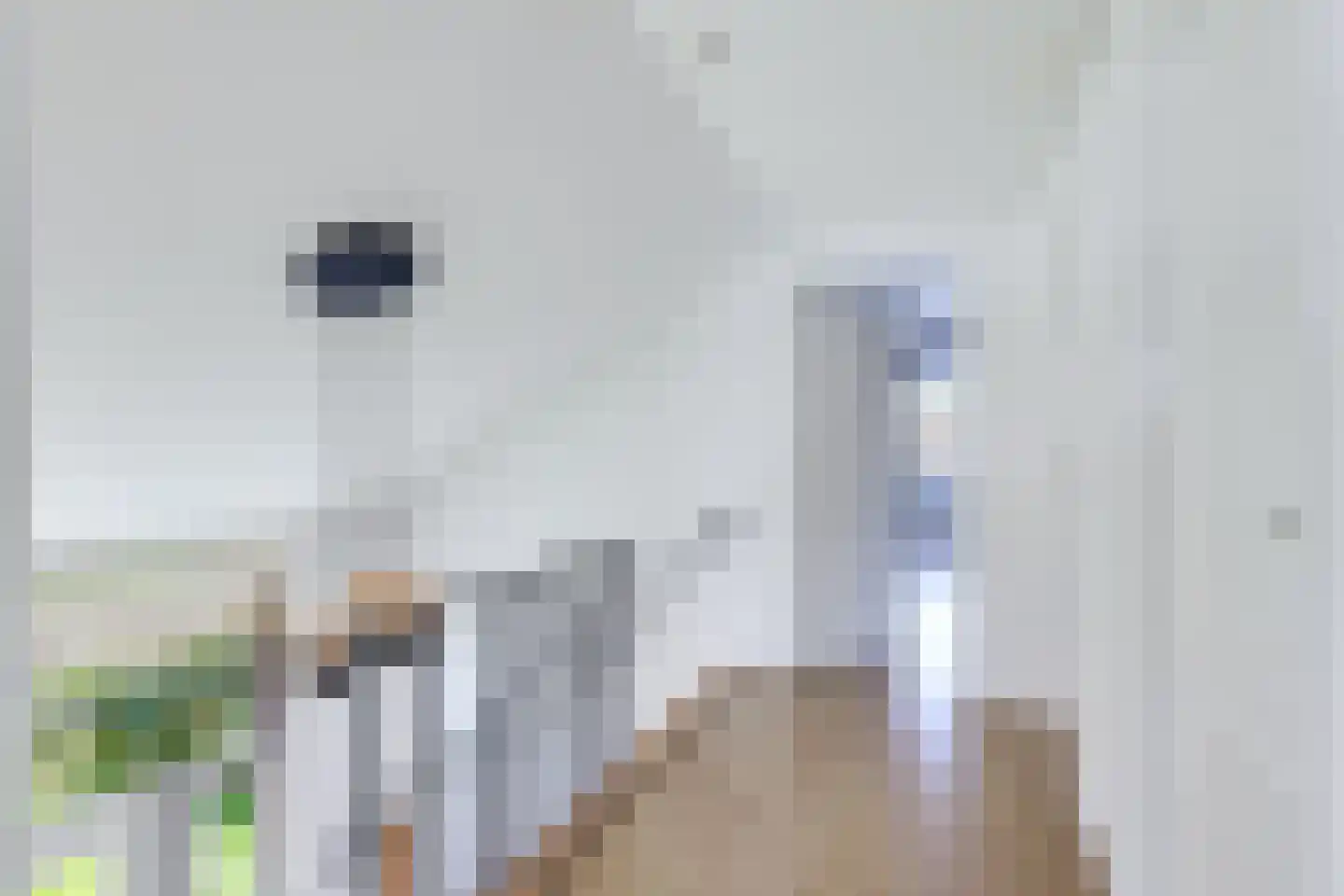 Achterweg 1 Alkmaar thumbnail 41