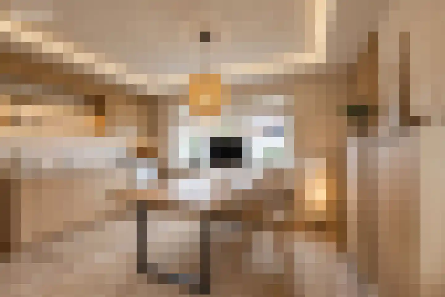 Achterweg 1 Alkmaar thumbnail 5