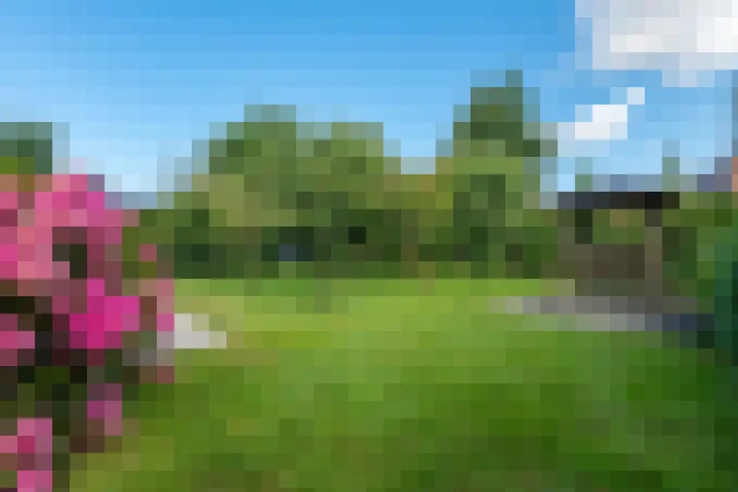 Achterweg 1 Alkmaar thumbnail 54