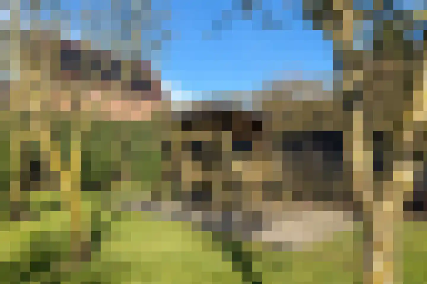 Achterweg 1 Alkmaar thumbnail 54