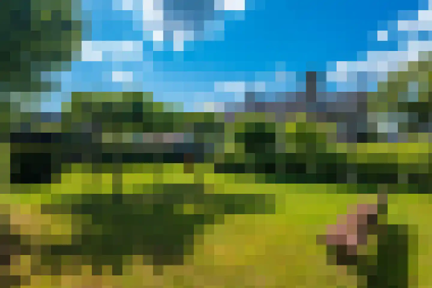 Achterweg 1 Alkmaar thumbnail 56