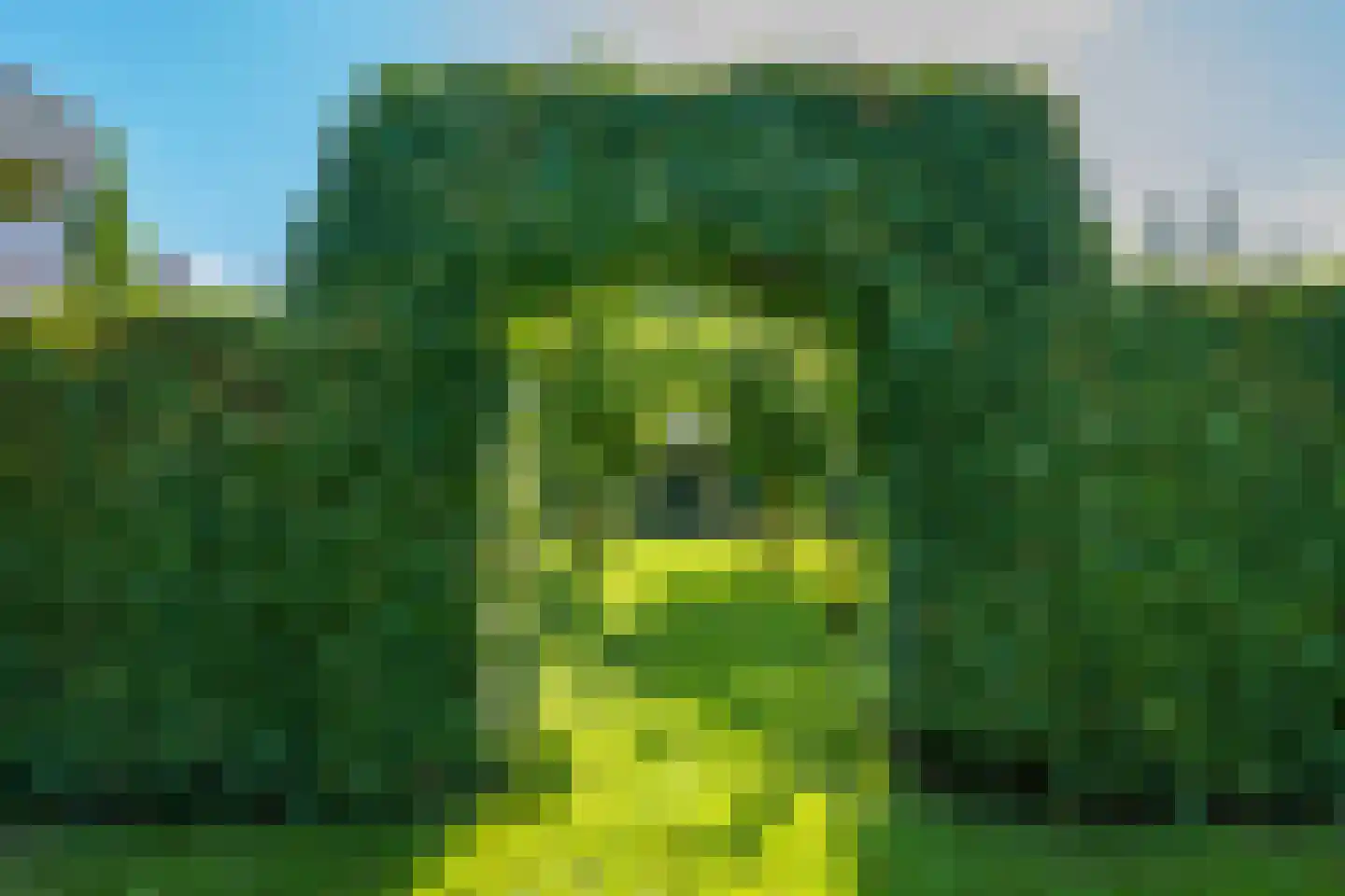 Achterweg 1 Alkmaar thumbnail 57