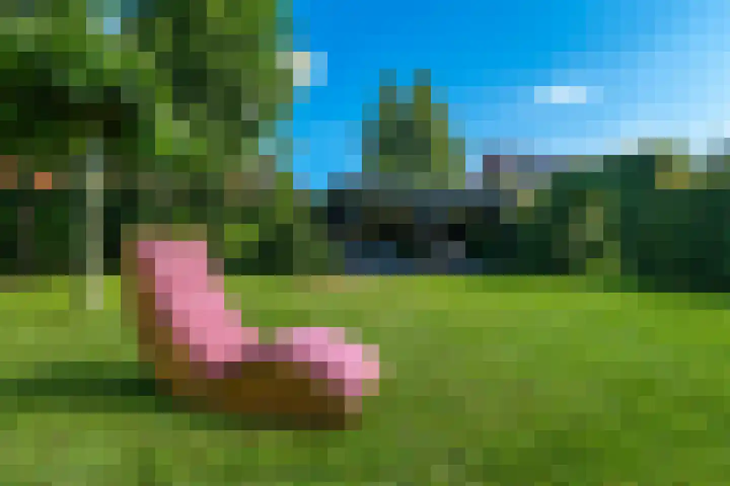 Achterweg 1 Alkmaar thumbnail 61