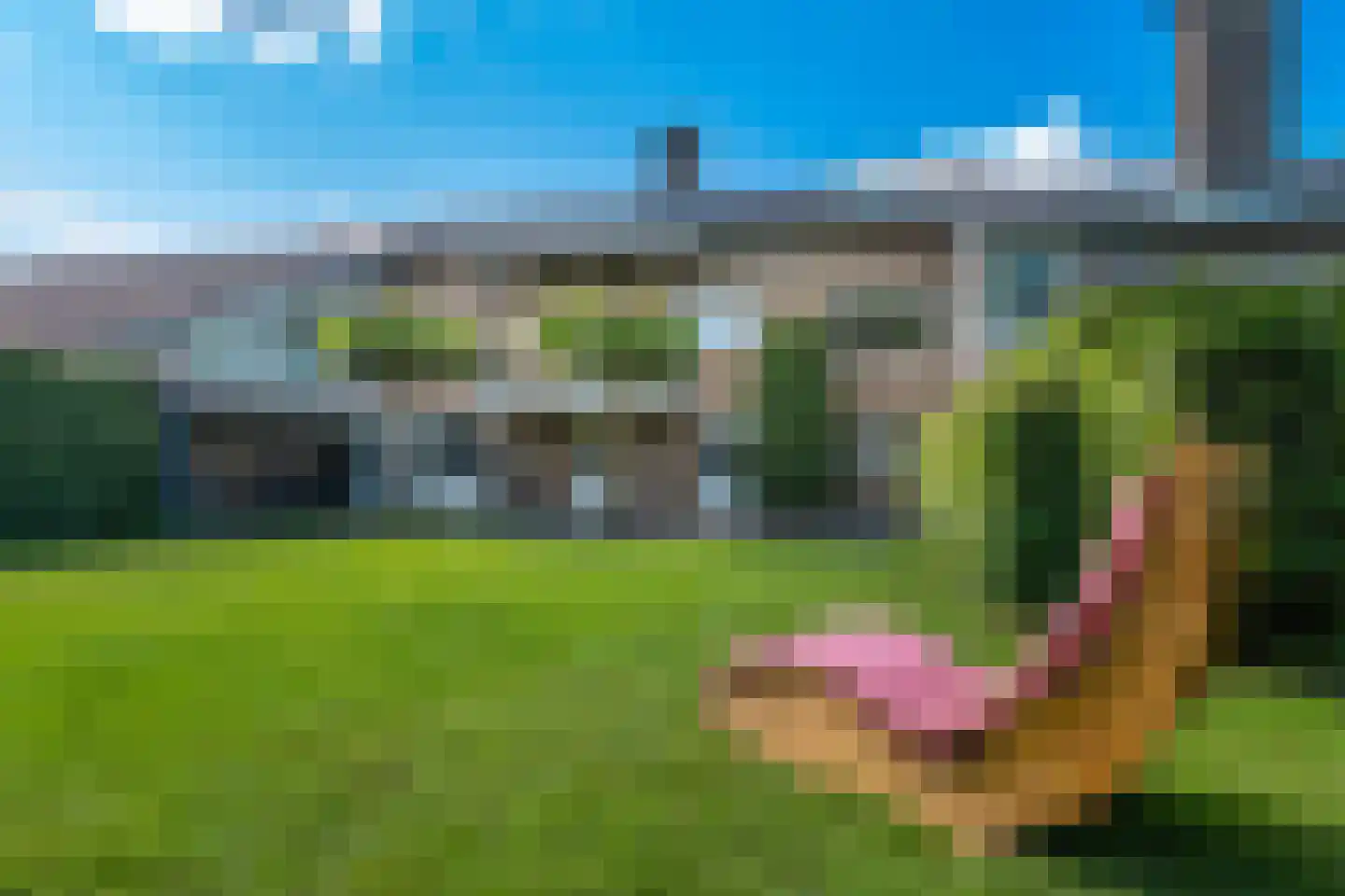 Achterweg 1 Alkmaar thumbnail 62
