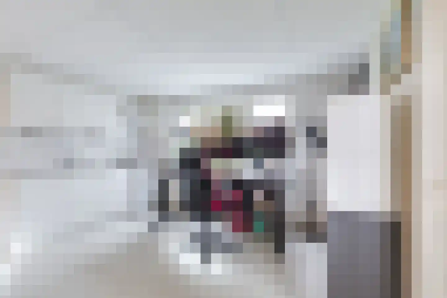 Achterweg 1 Alkmaar thumbnail 70