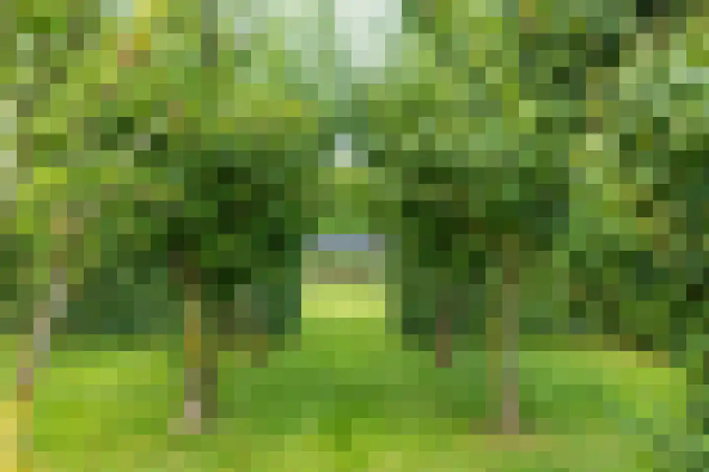 Achterweg 1 Alkmaar thumbnail 77