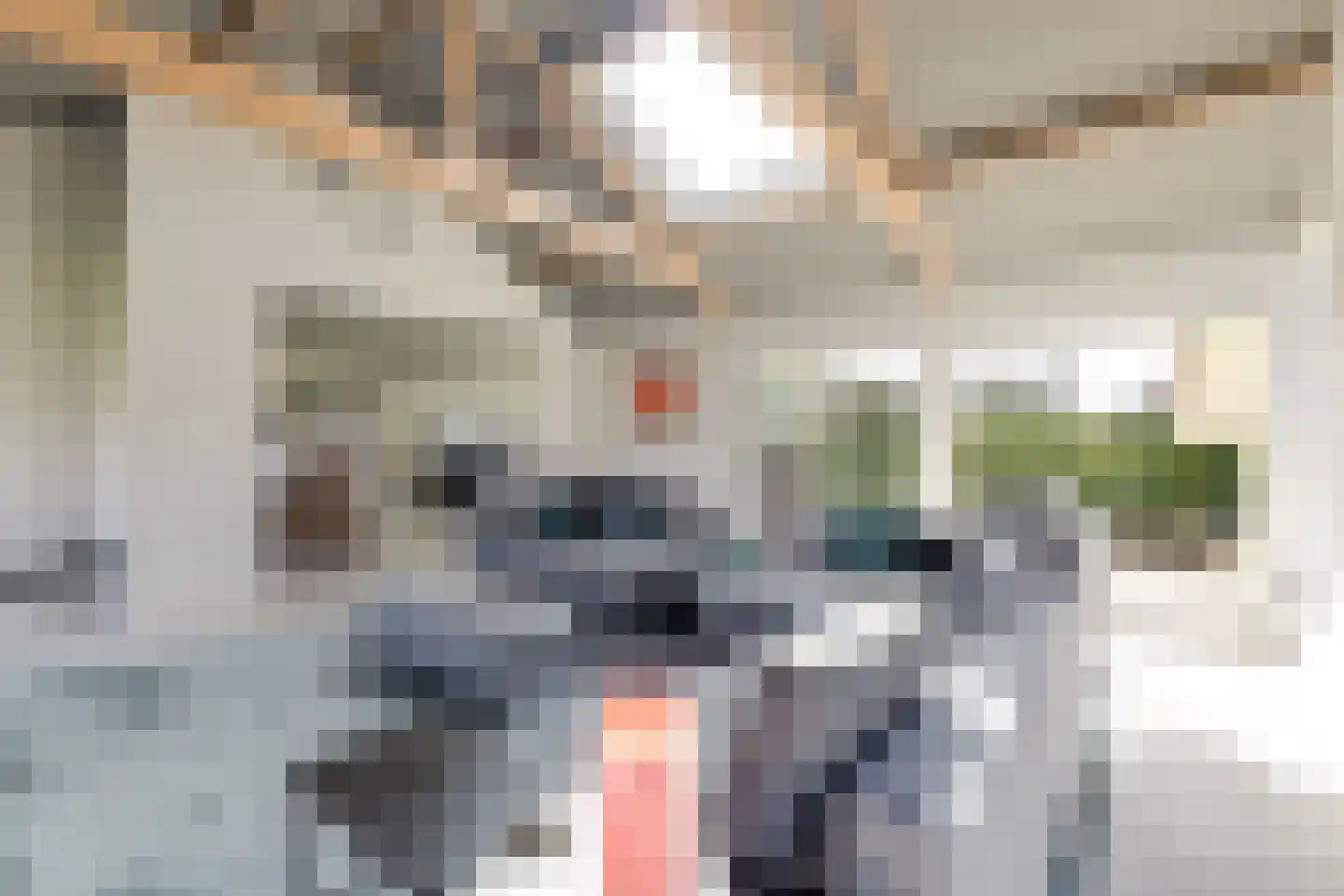 Achterweg 1 Alkmaar thumbnail 8
