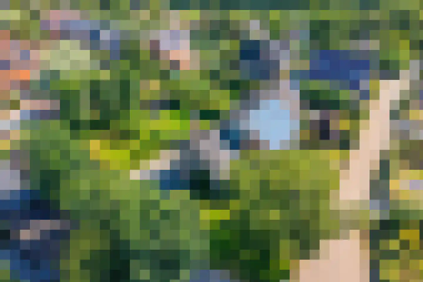 Achterweg 1 Alkmaar thumbnail 94