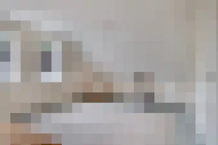 Achterweg 1 Berlicum thumbnail 18