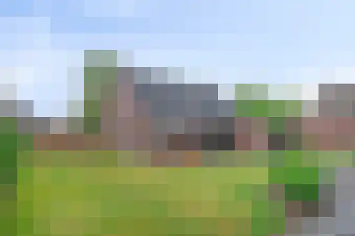 Achterweg 1 Berlicum thumbnail 25