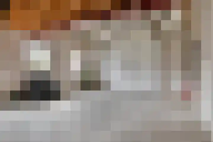 Achterweg 1 Berlicum thumbnail 33