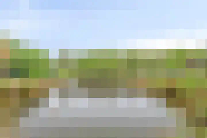 Achterweg 1 Berlicum thumbnail 40