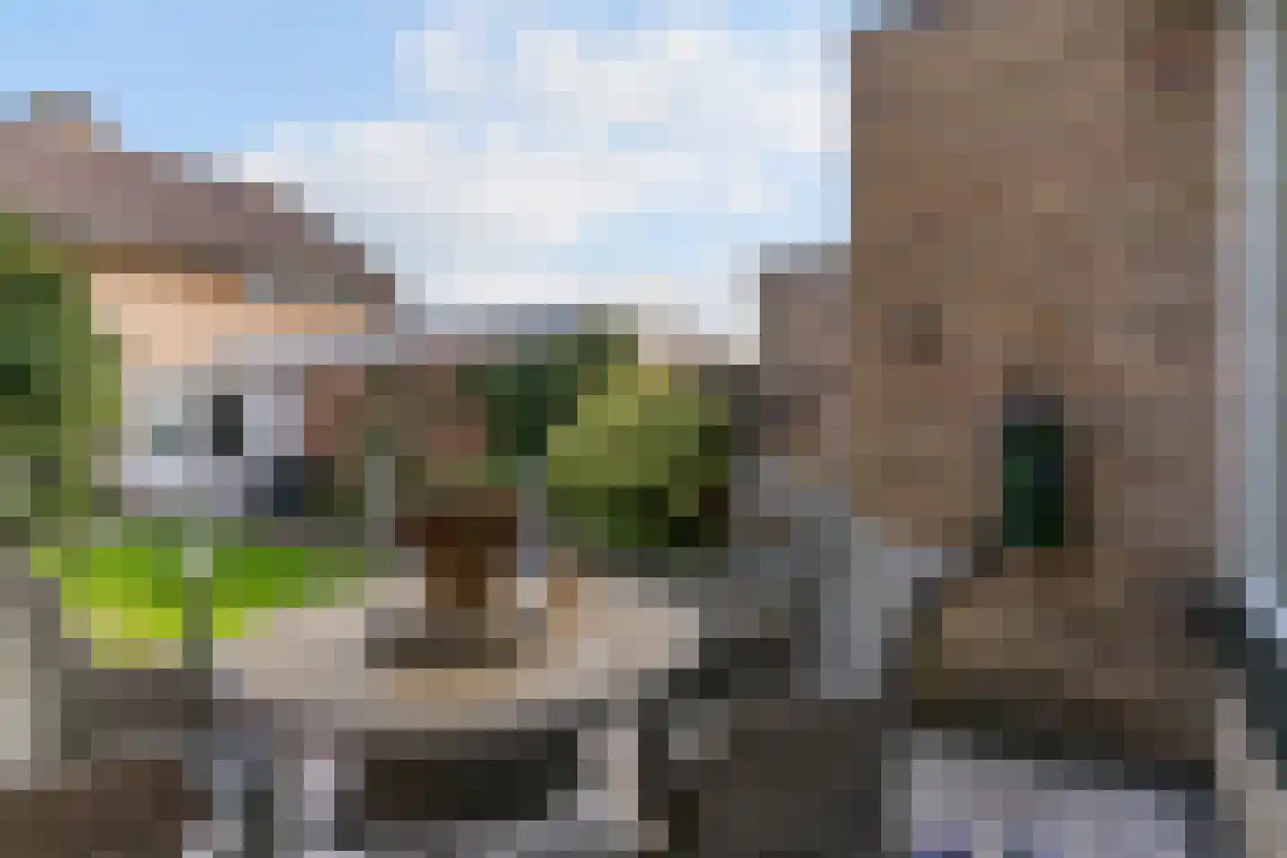 Achterweg 11 Limmen thumbnail 34