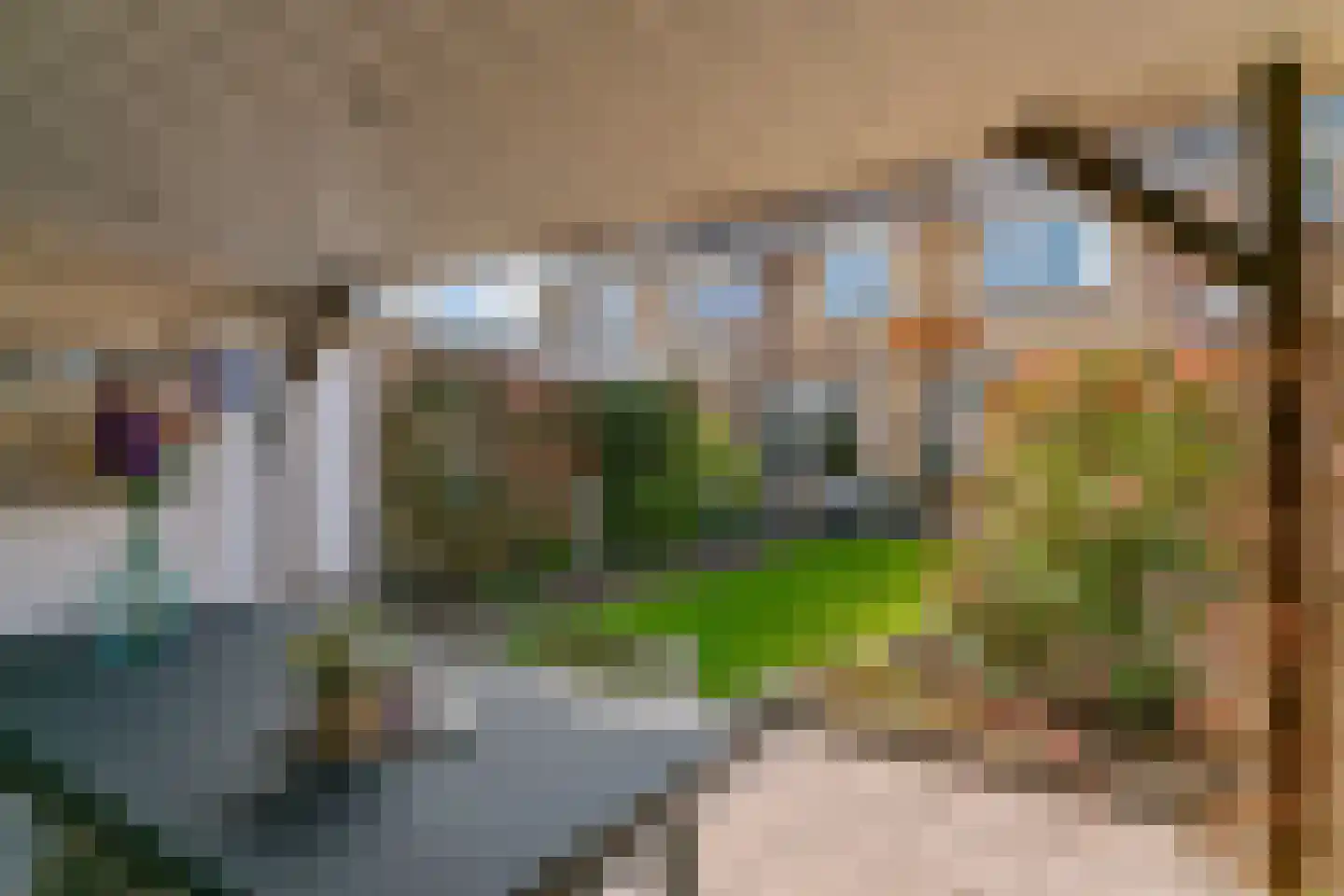 Achterweg 11 Limmen thumbnail 36