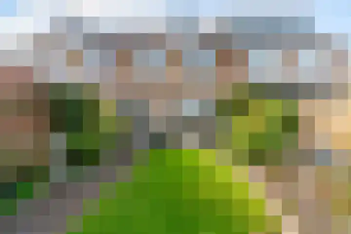 Achterweg 11 Limmen thumbnail 38
