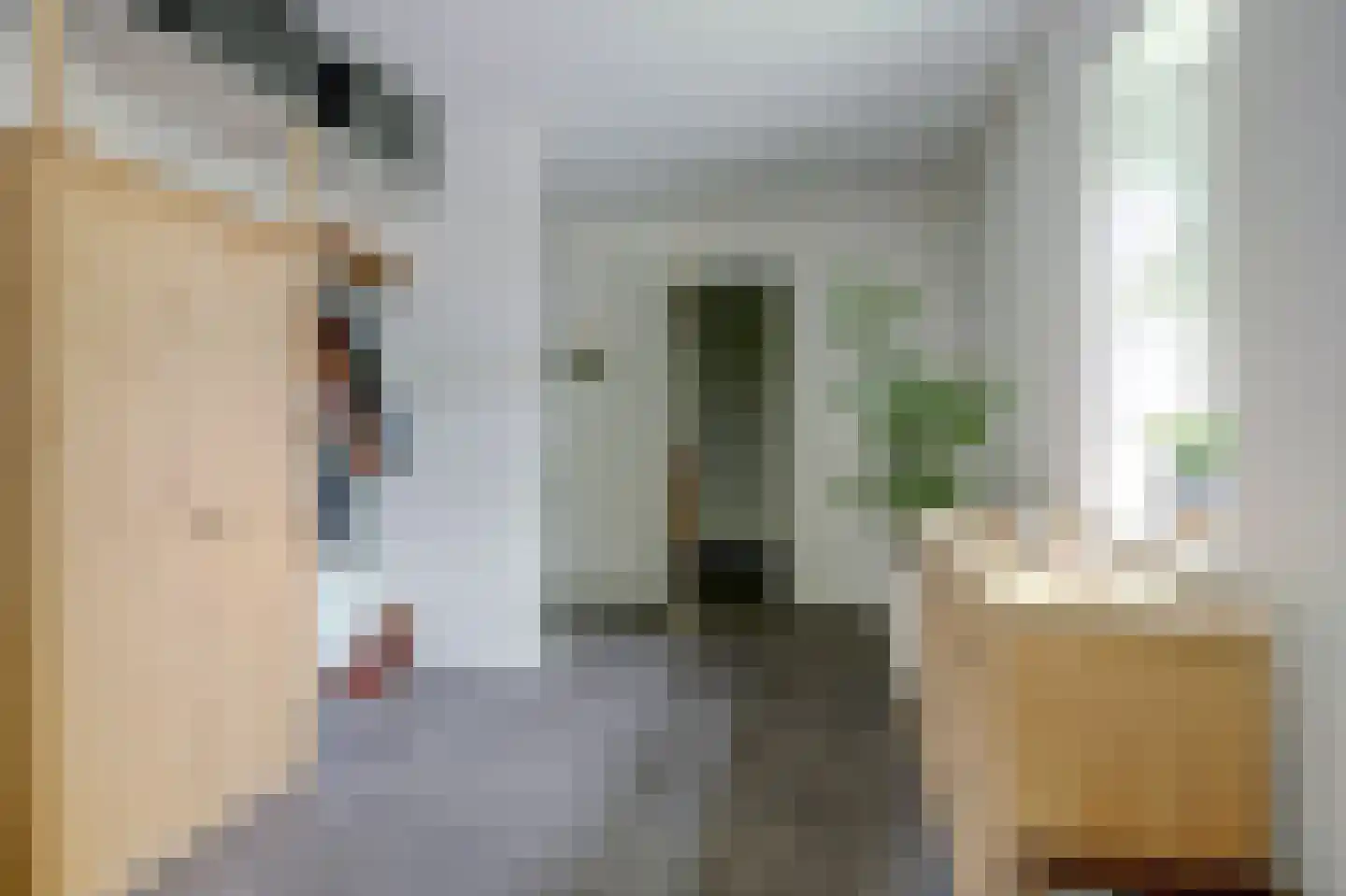 Achterweg 12 Rockanje thumbnail 13