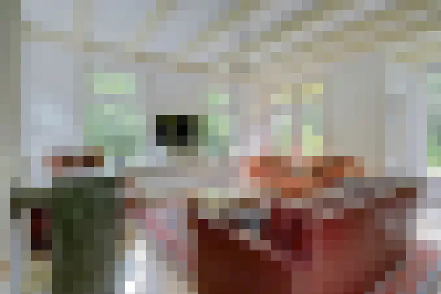 Achterweg 12 Rockanje thumbnail 16