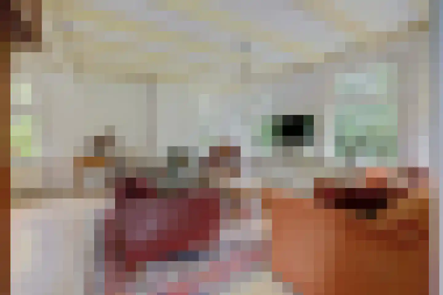 Achterweg 12 Rockanje thumbnail 18