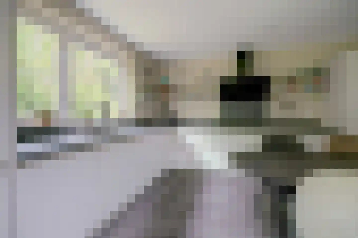 Achterweg 12 Rockanje thumbnail 25