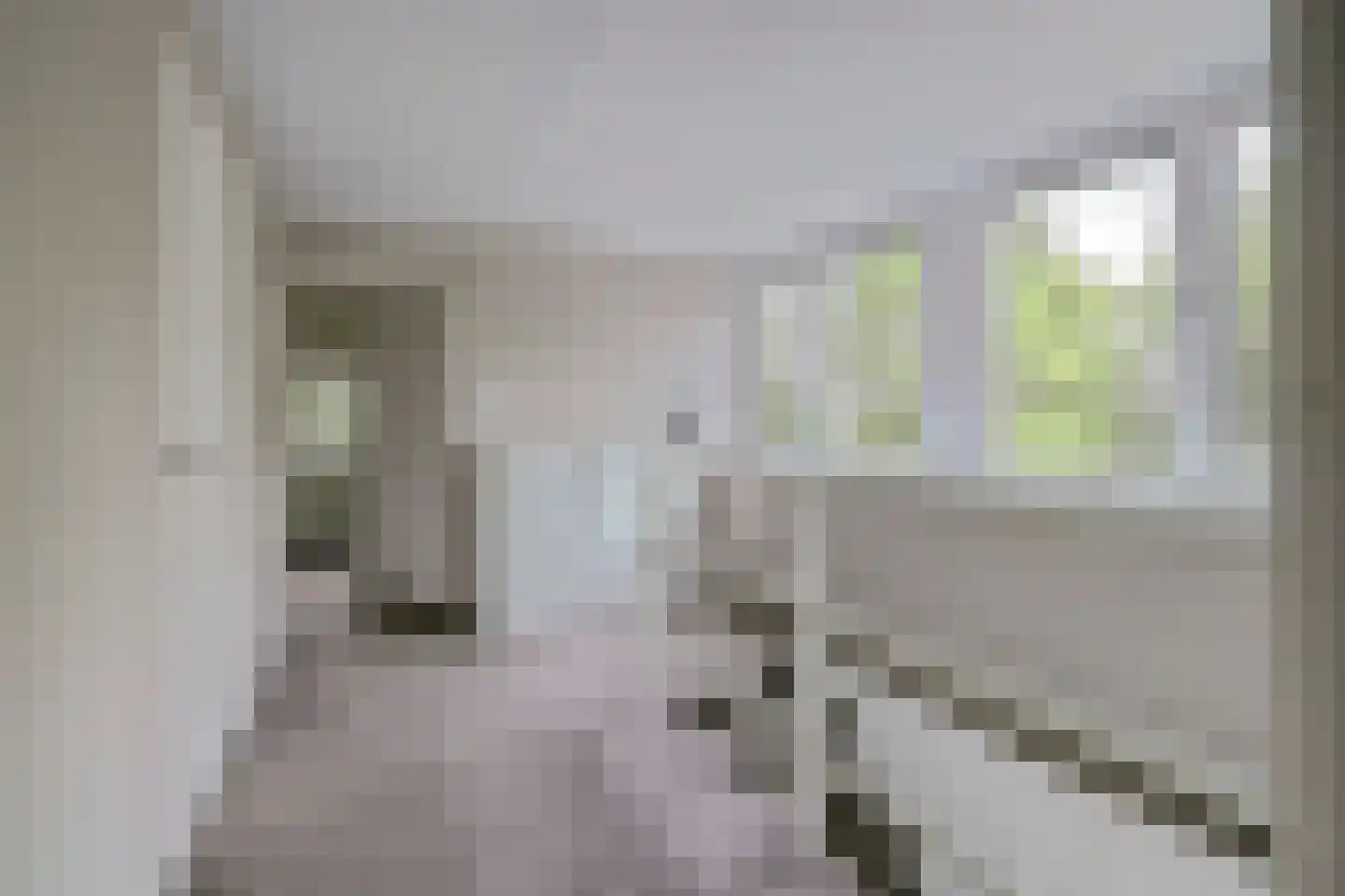 Achterweg 12 Rockanje thumbnail 34