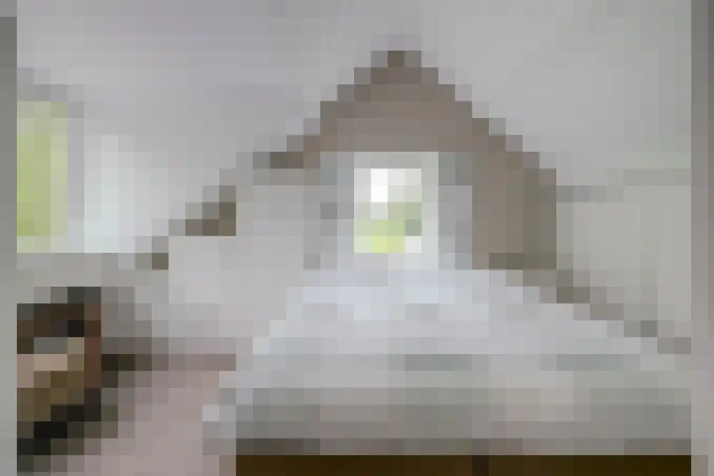 Achterweg 12 Rockanje thumbnail 36
