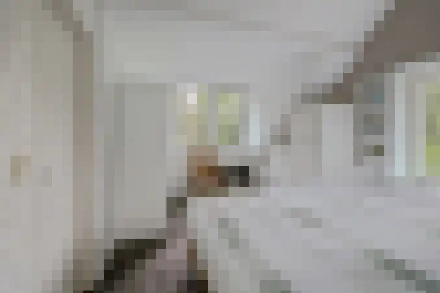 Achterweg 12 Rockanje thumbnail 38