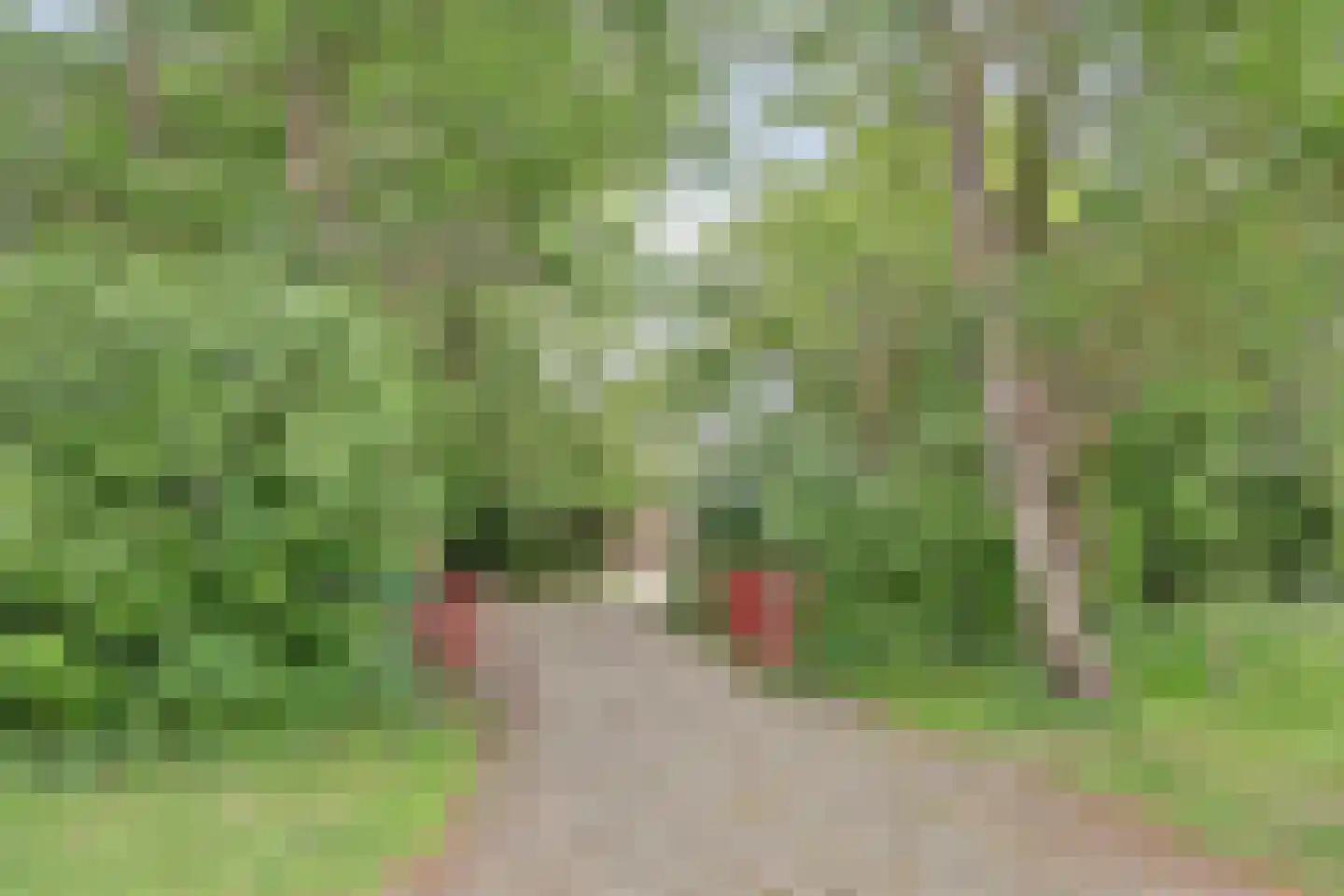 Achterweg 12 Rockanje thumbnail 5