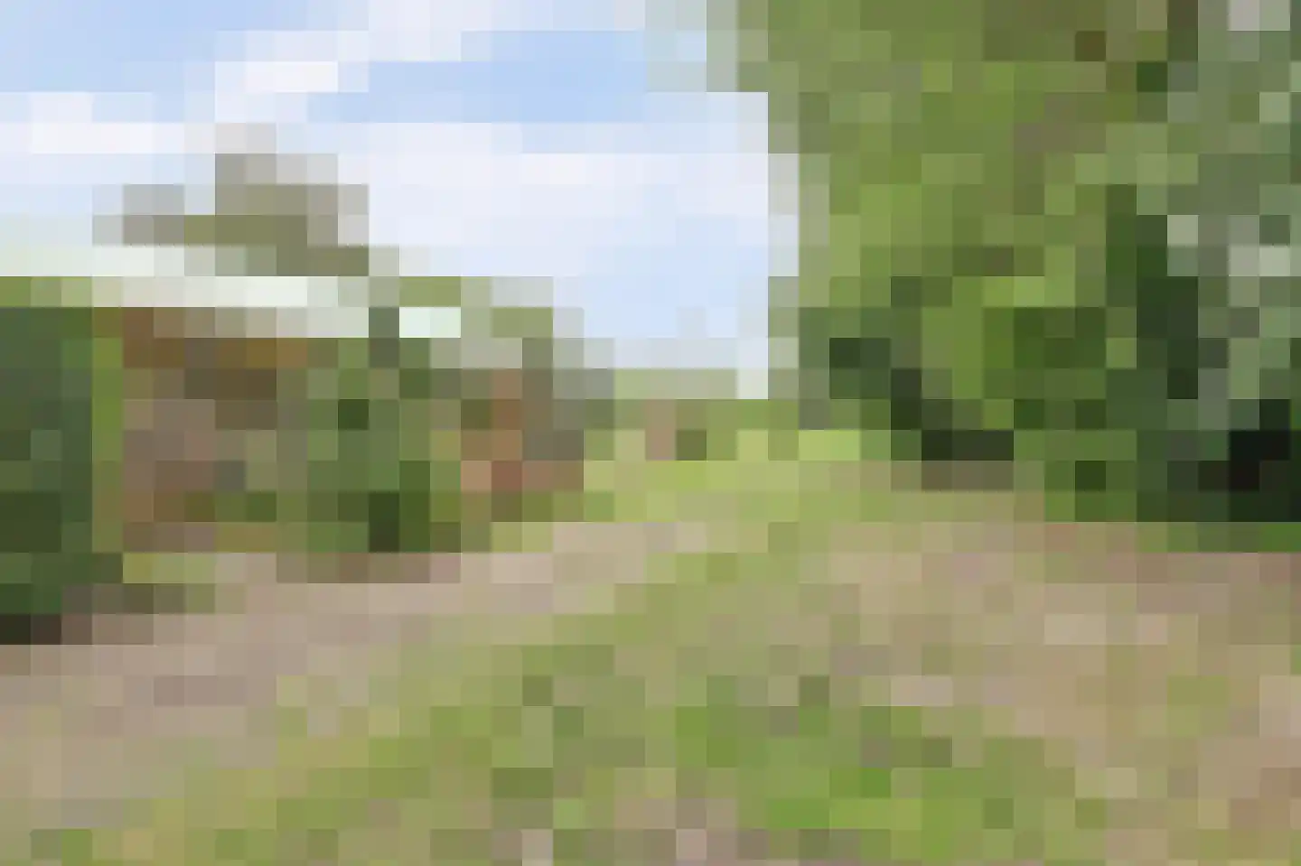 Achterweg 12 Rockanje thumbnail 52