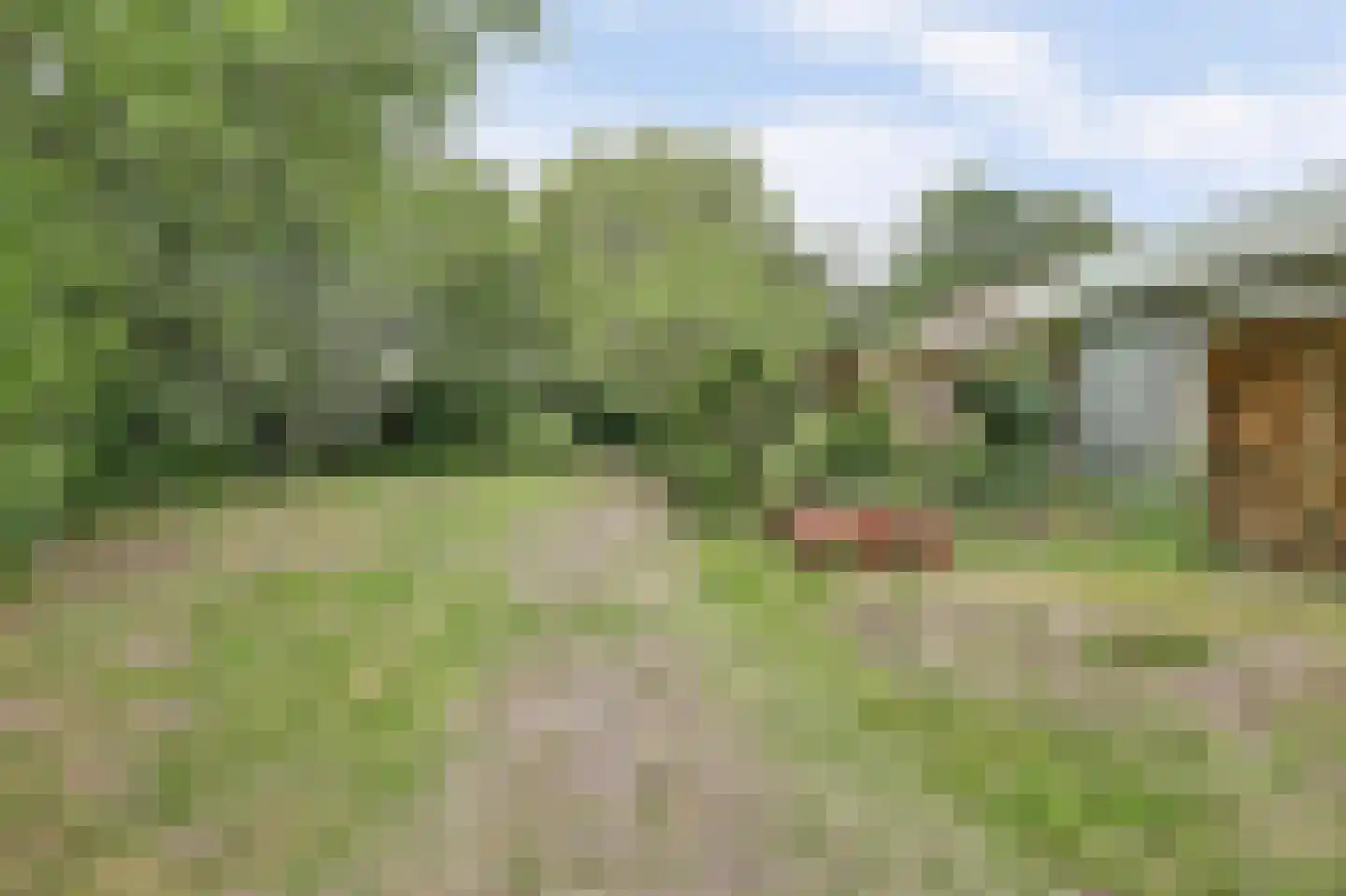 Achterweg 12 Rockanje thumbnail 53