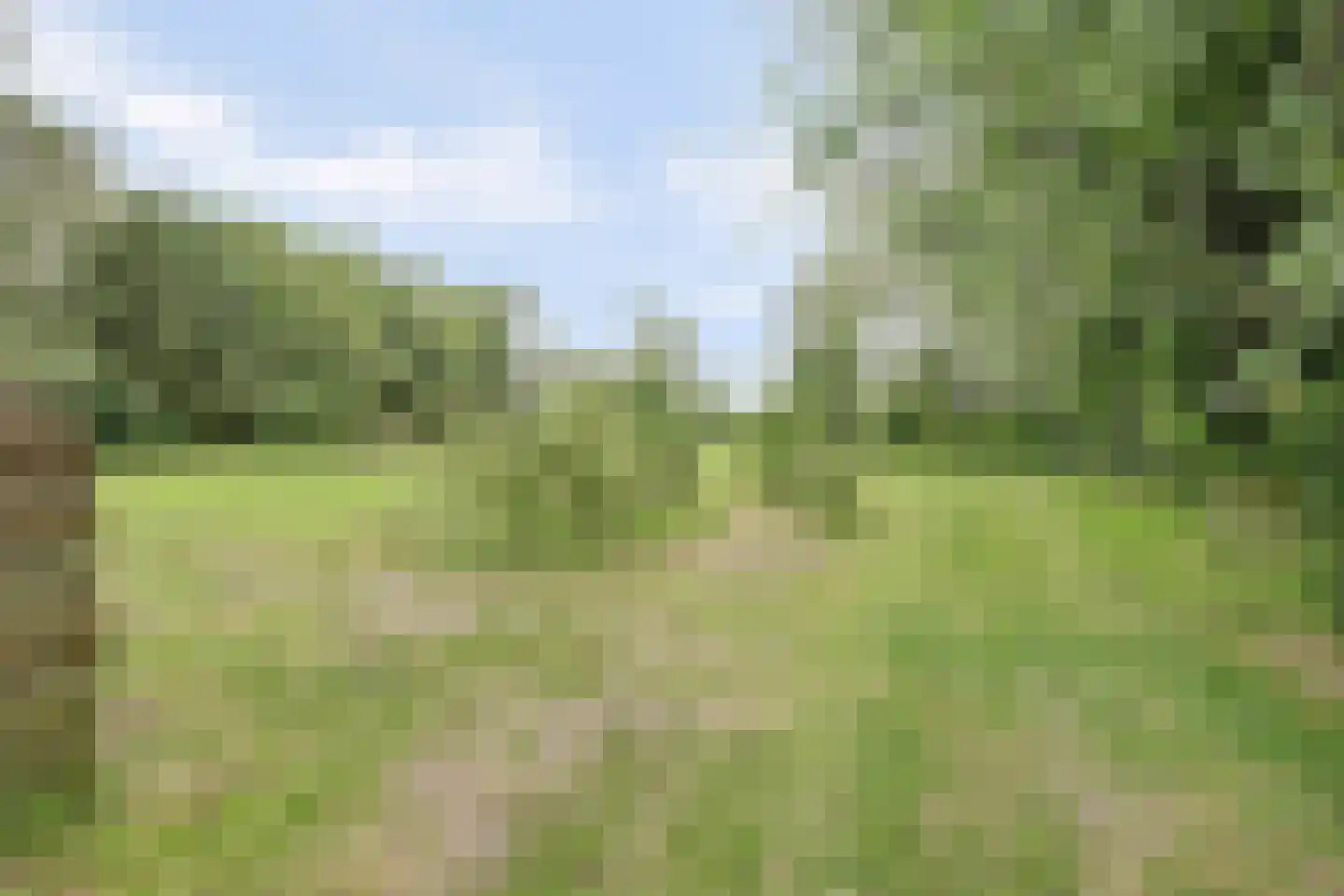 Achterweg 12 Rockanje thumbnail 54