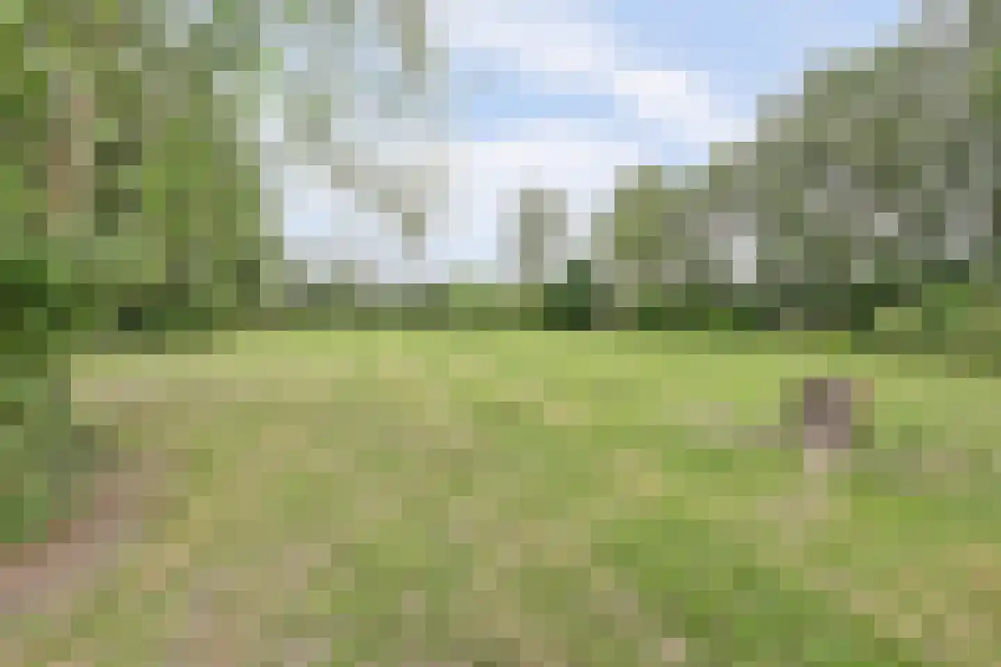 Achterweg 12 Rockanje thumbnail 55