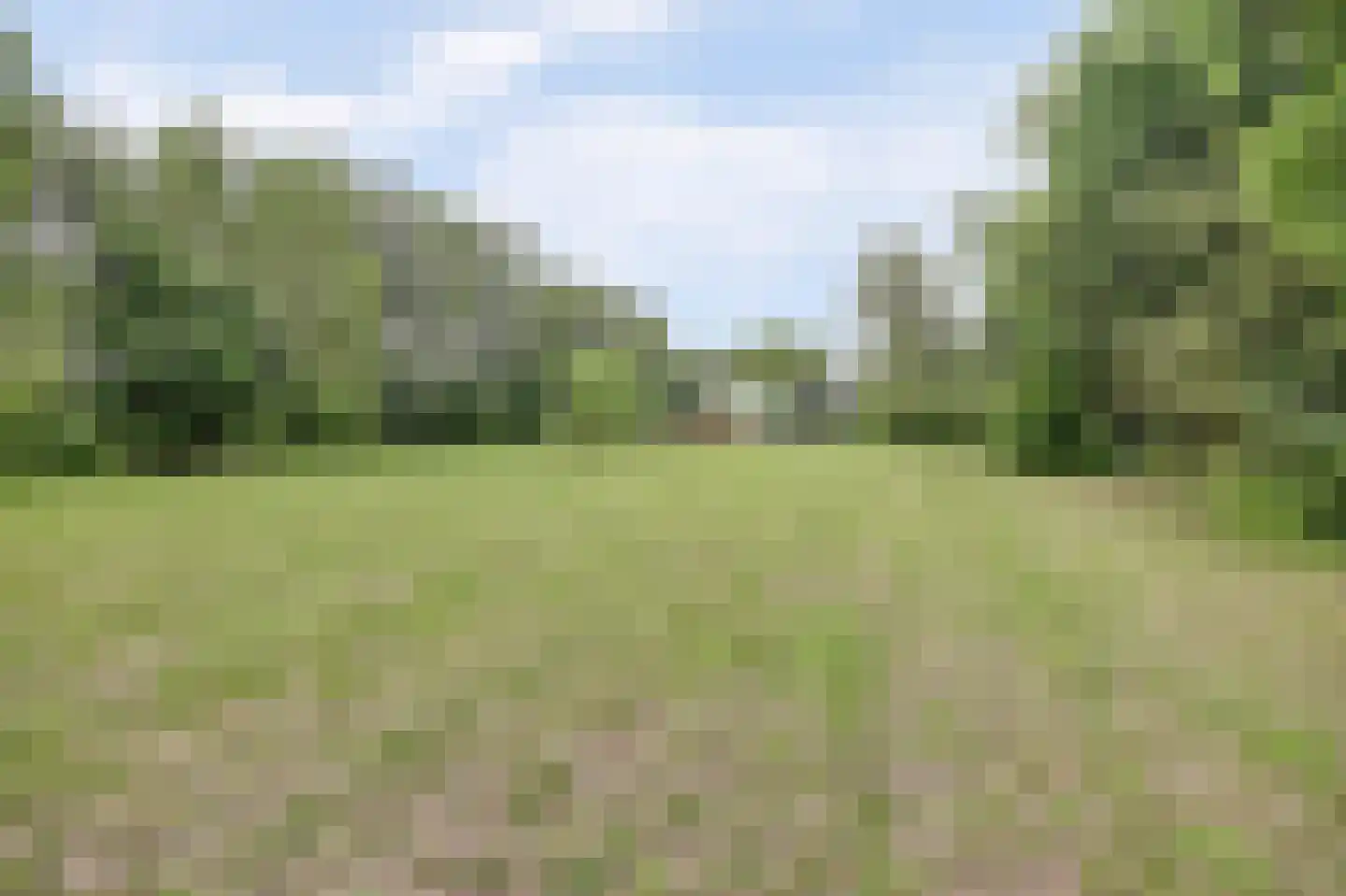 Achterweg 12 Rockanje thumbnail 56