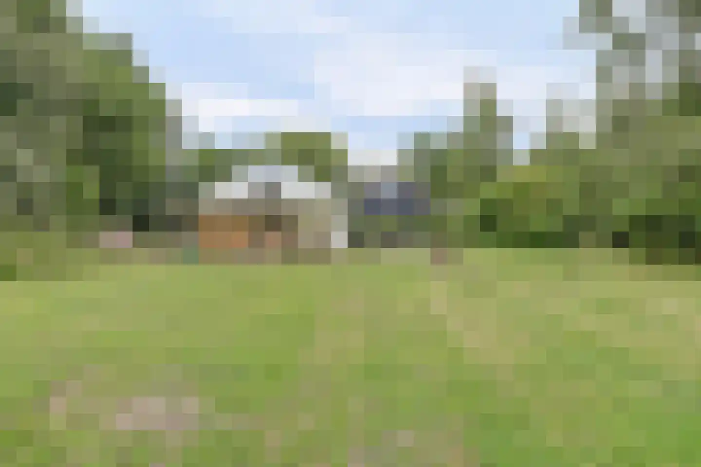 Achterweg 12 Rockanje thumbnail 58