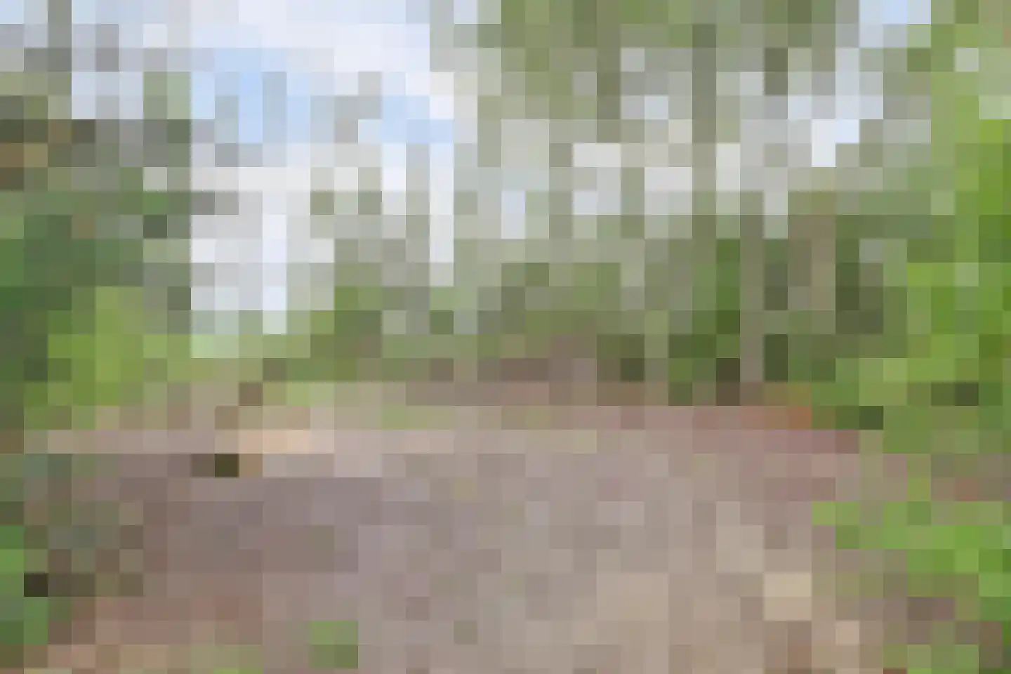 Achterweg 12 Rockanje thumbnail 59