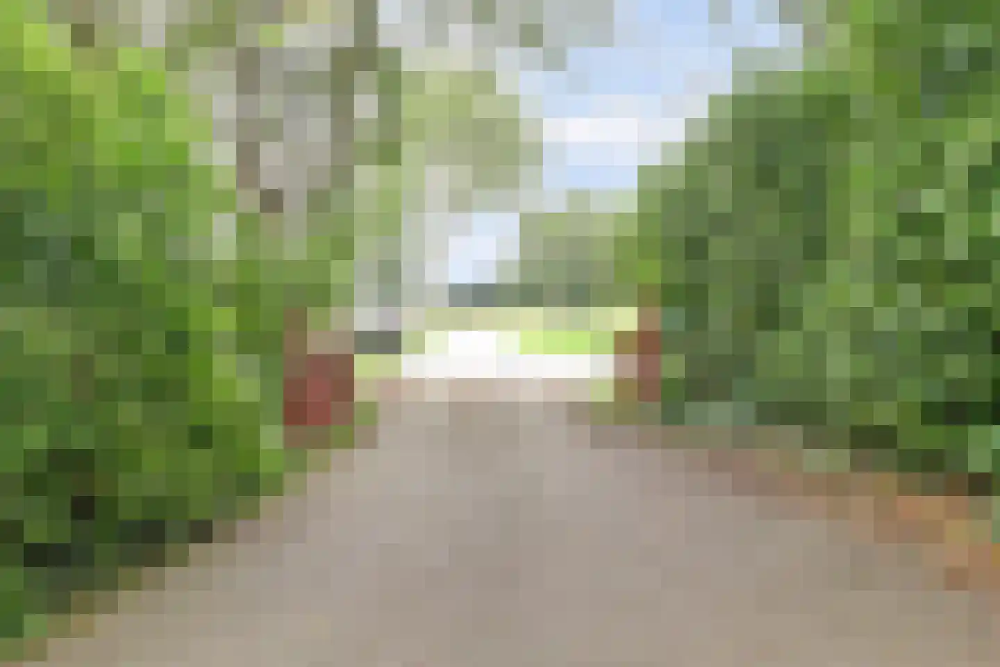 Achterweg 12 Rockanje thumbnail 6