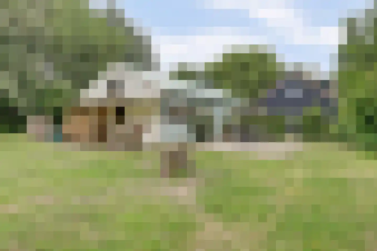 Achterweg 12 Rockanje thumbnail 60