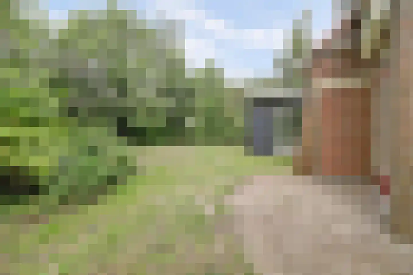 Achterweg 12 Rockanje thumbnail 62