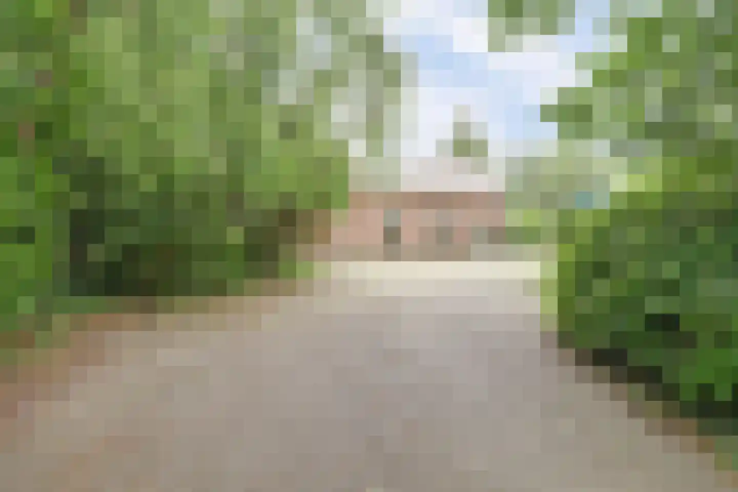 Achterweg 12 Rockanje thumbnail 7