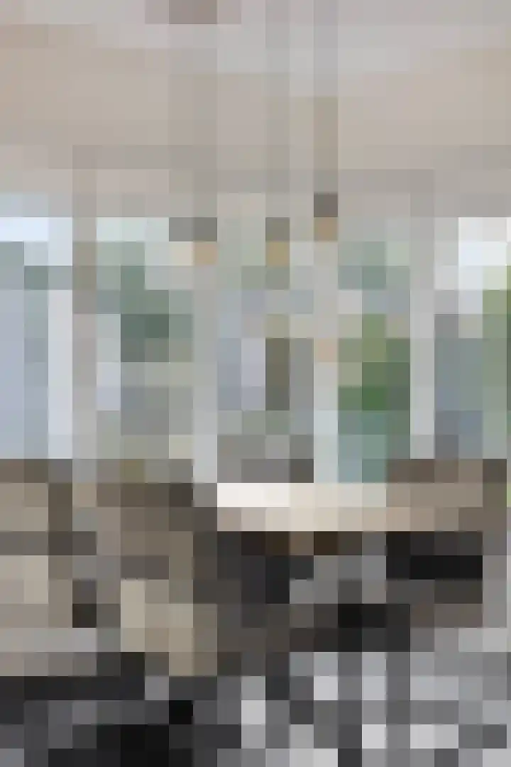 Achterweg 13 Bergen (NH) thumbnail 19
